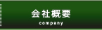 ЊTv